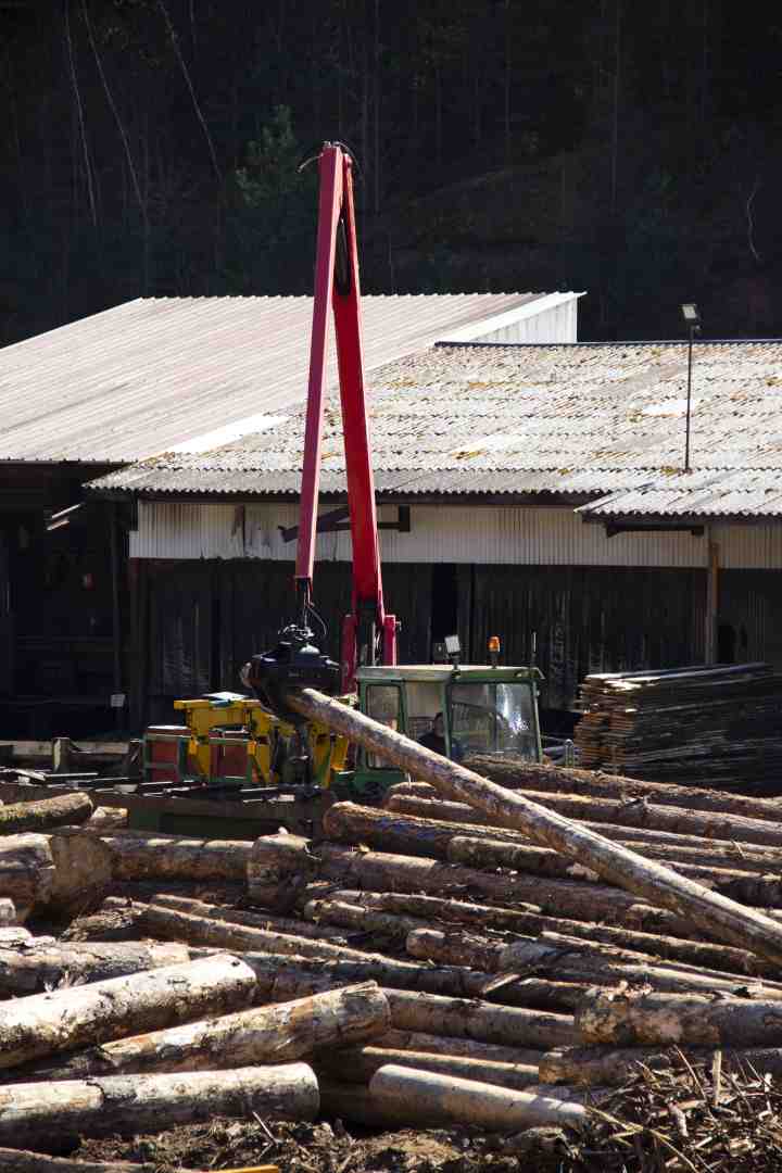 SCIERIE LEJEUNE SIERSTHAL