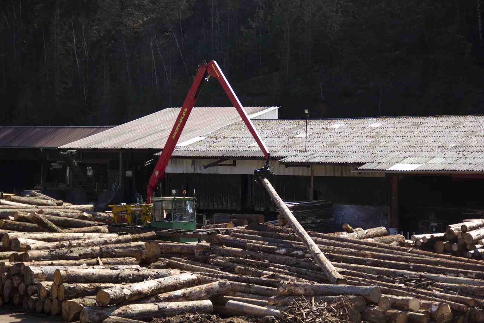 SCIERIE LEJEUNE SIERSTHAL